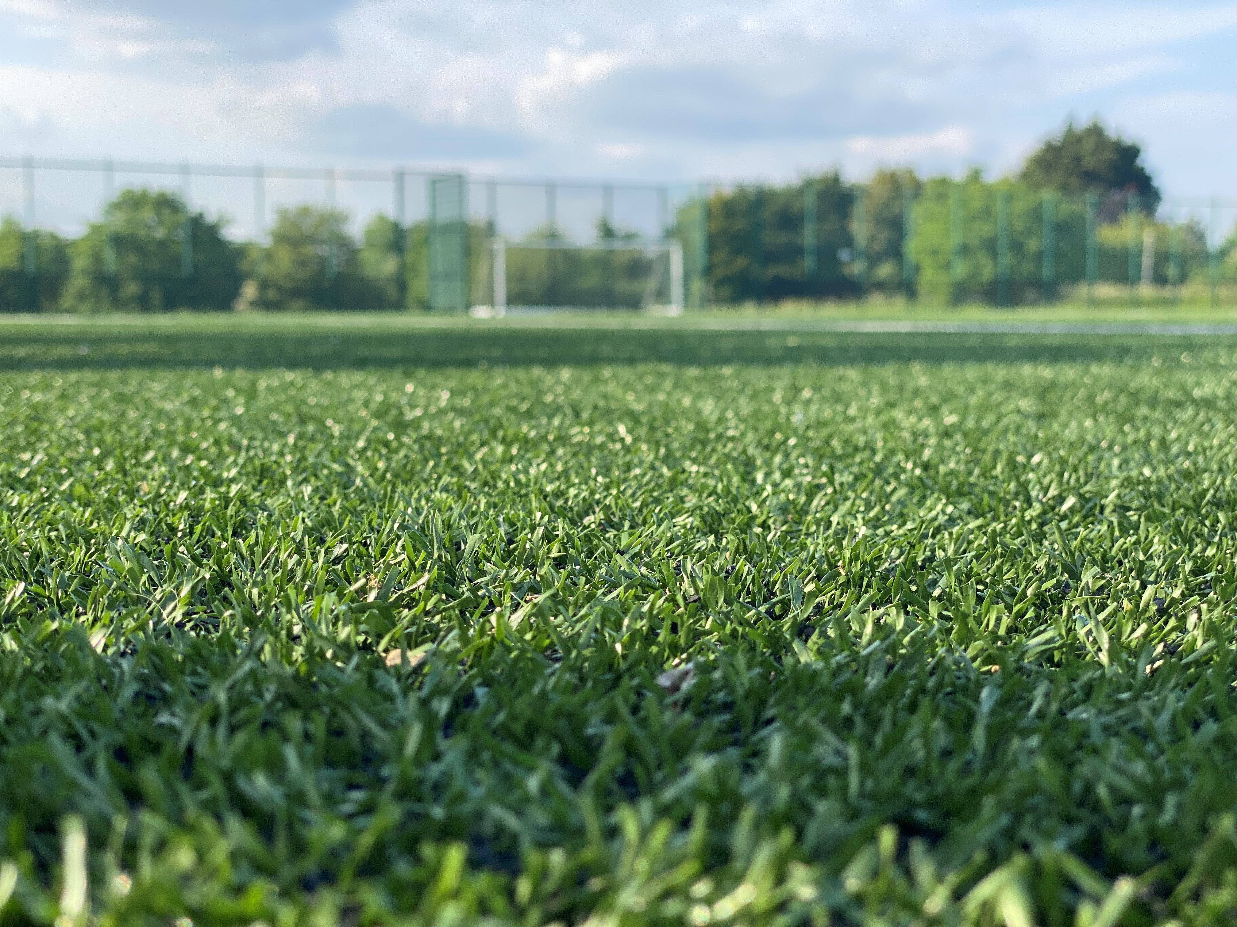 Football_pitch.jpg